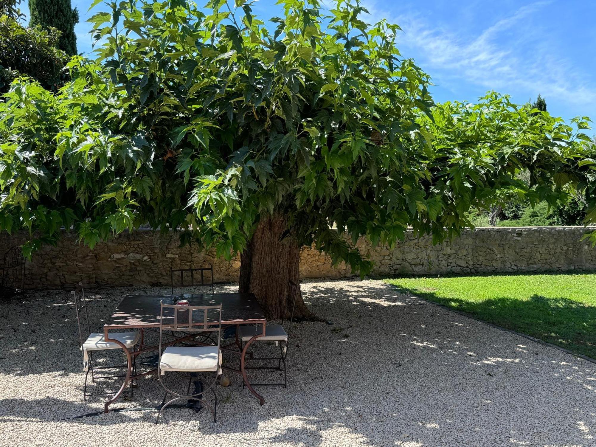 Appartement Bastide du Buou à Puyvert Chambre photo